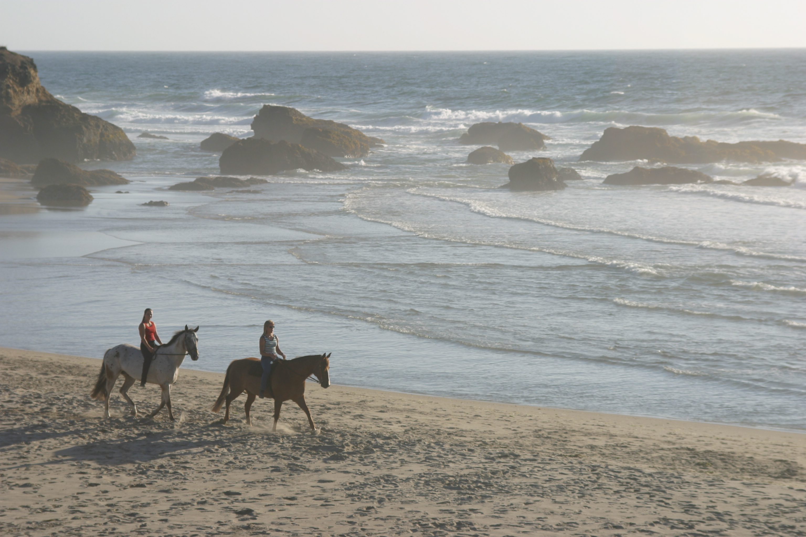 Visit trail rides at Ricochet Ridge Ranch