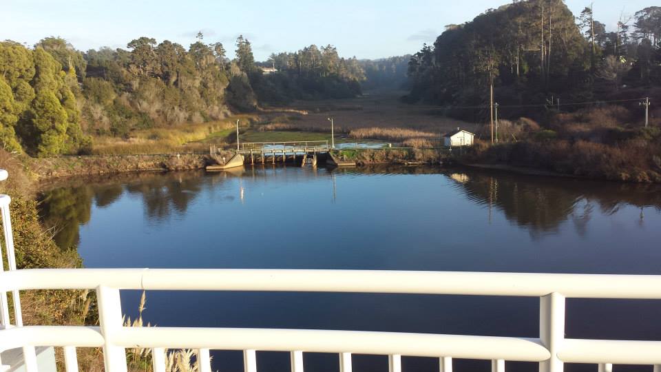 View of Pudding Creek from creek facing rooms