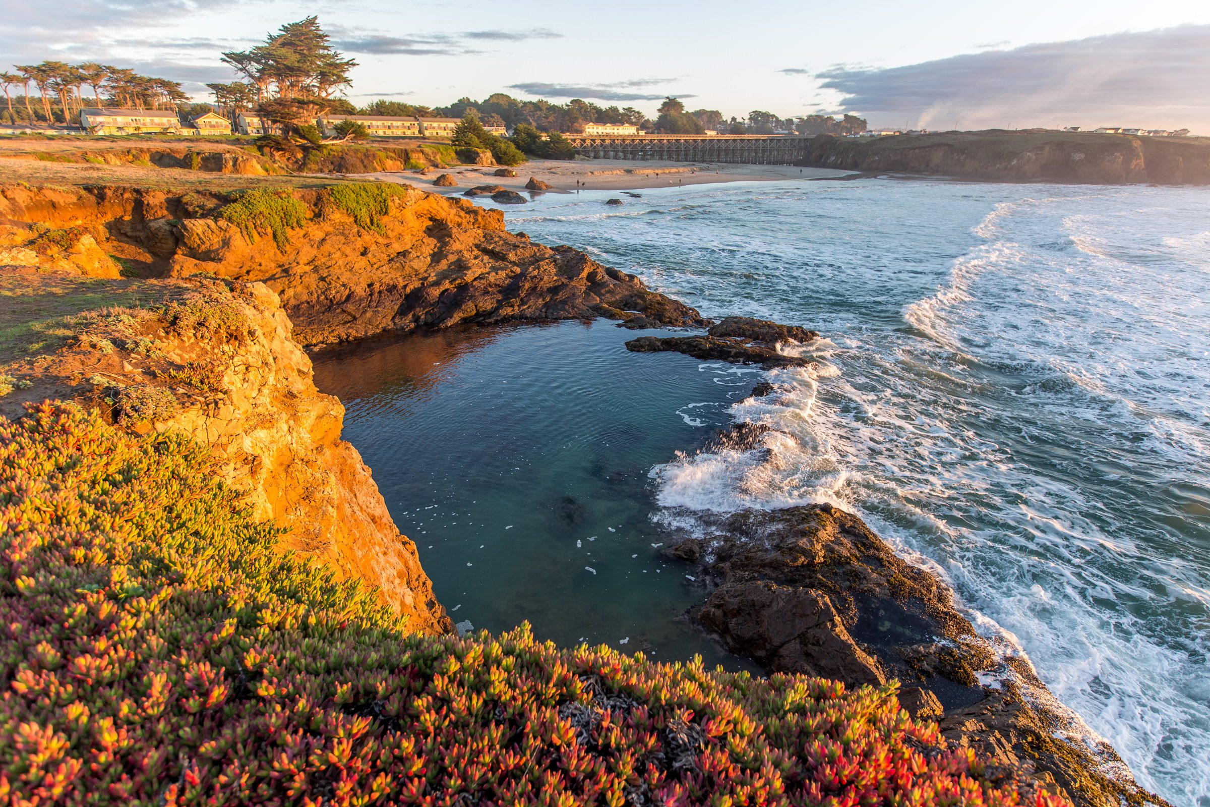 Tide pool magic